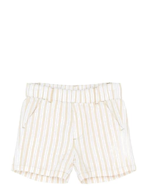 The New | Tnstsmitty Shorts | 92