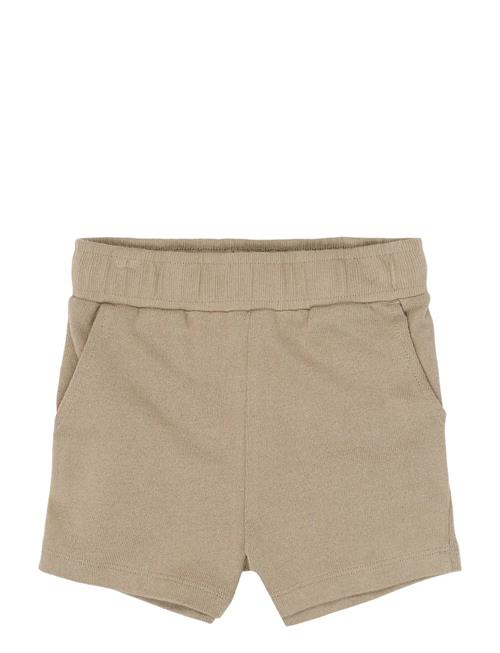 The New | Tnststeward Shorts | 104