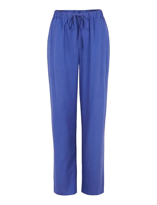 Soft Rebels | Sryindi Pant | L