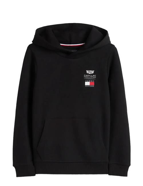 Tommy Hilfiger | Th X Cf1 Logo Hoodie | 122