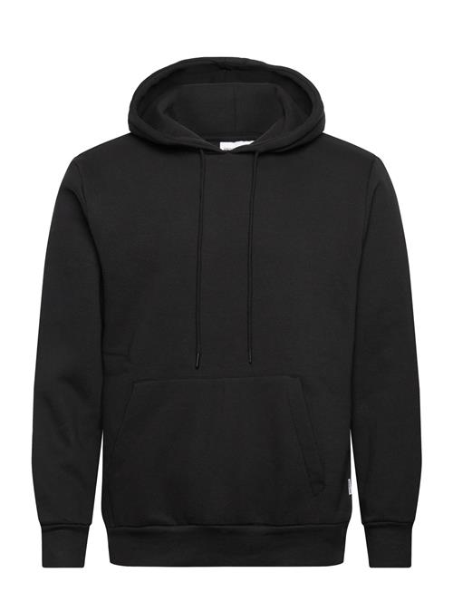 Shine Original | Sweat Hoodie | L