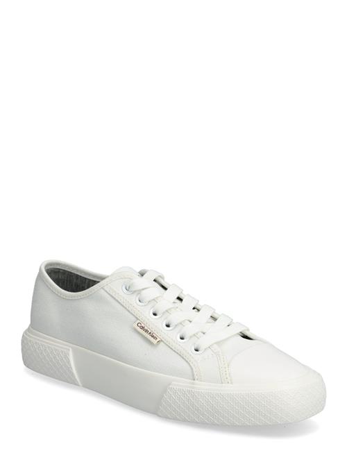 Calvin Klein | Vulc Low Lace Up Canvas | 39