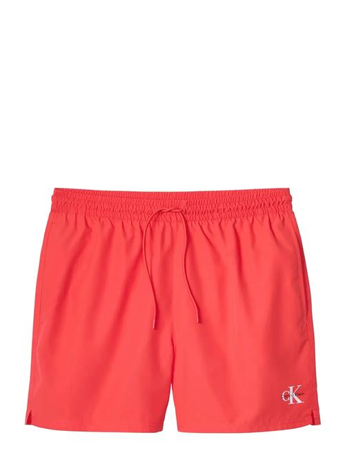 Calvin Klein | Medium Drawstring Waistband | L