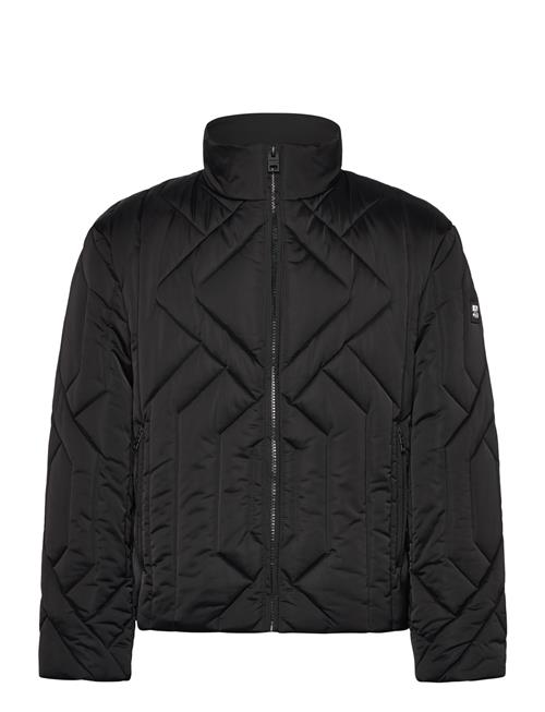 HUGO | Barino2541 | XL