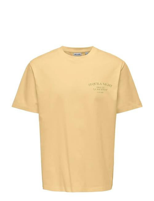 ONLY & SONS | Onsfred Life Rlx Ss Print Tee Noos | XXL