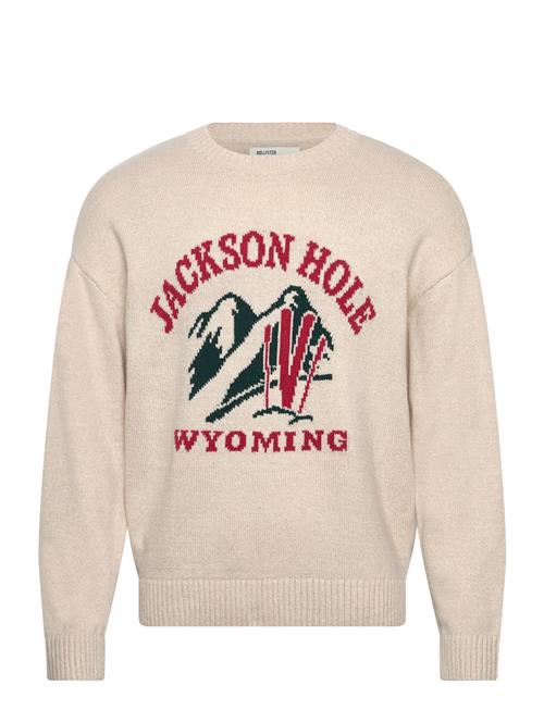 Hollister | Intarsia Jersey Crew | XXL