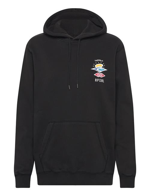 Rip Curl | Search Icon Hood | XXL