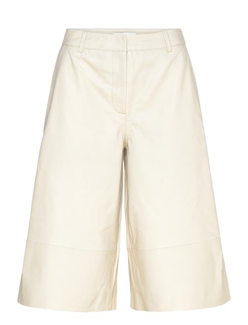 Copenhagen Muse | Cmroyal-Bermuda | M