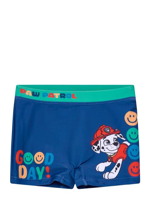 Paw Patrol | Swimwear | 110