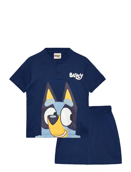 Bluey | Pyjama | 104