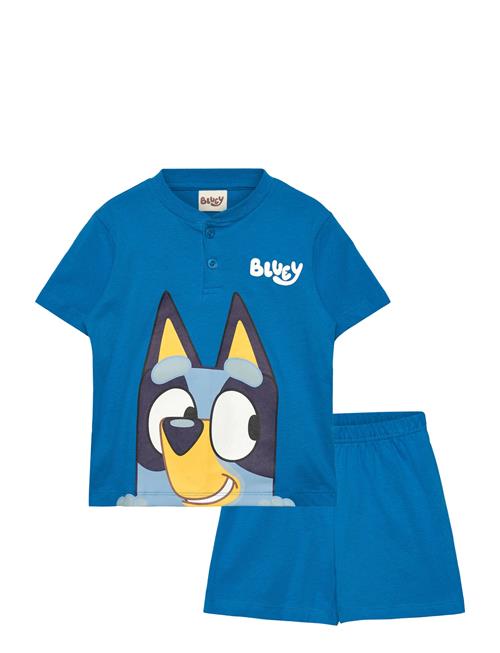 Bluey | Pyjama | 116