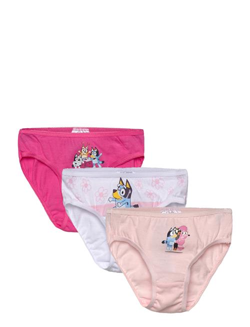 Bluey | Panties | 104/110