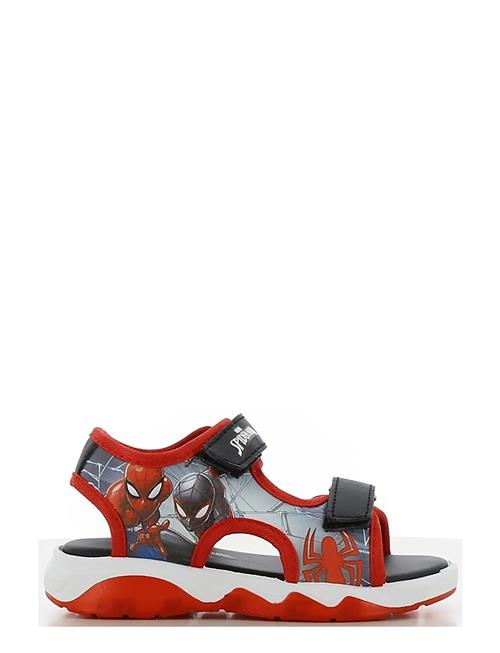 Leomil | Spiderman Sandal | 33