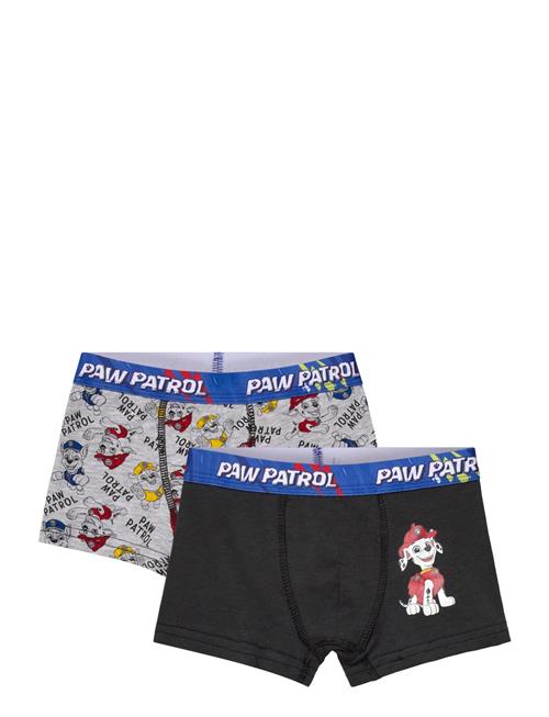 Paw Patrol | Boxer | 98/104