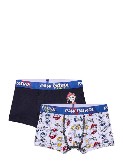Paw Patrol | Boxer | 98/104