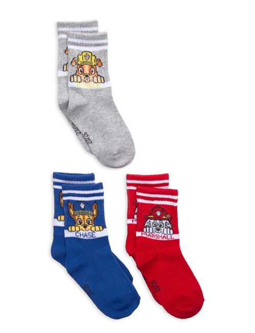 Paw Patrol | Socks | 27/30