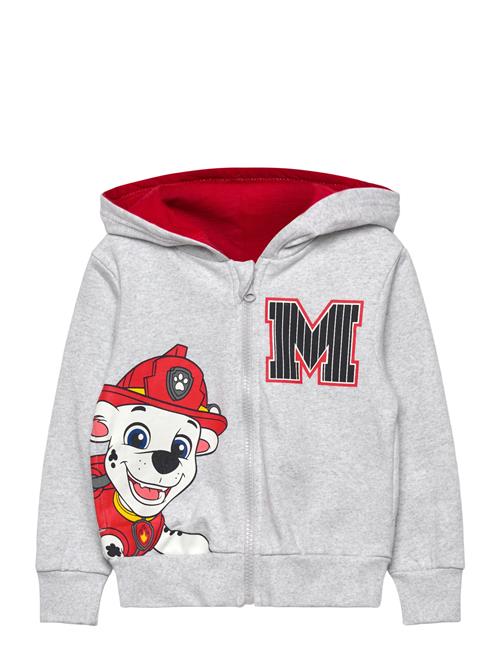Paw Patrol | Sweats | 98