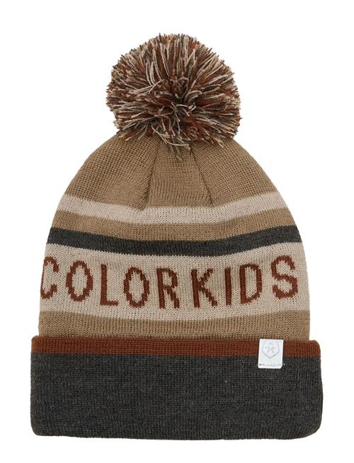 Color Kids | Hat - Logo Ck | 1-3Y