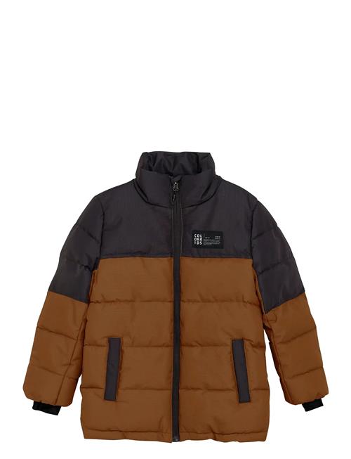 Color Kids | Jr. Jacket - Box & Quilt | 110