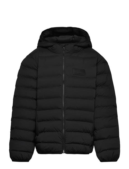 EA7 | Bomber Jacket | 152