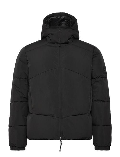 EA7 | Bomber Jacket | XXL