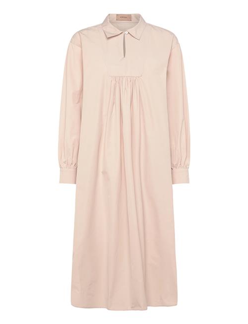 Rue de Tokyo | Drew Trench Cotton | L