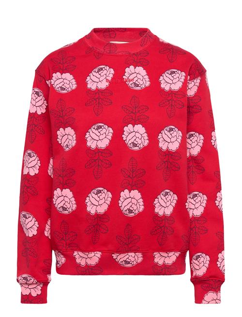 Marimekko | Leiot Vihkiruusu | XS