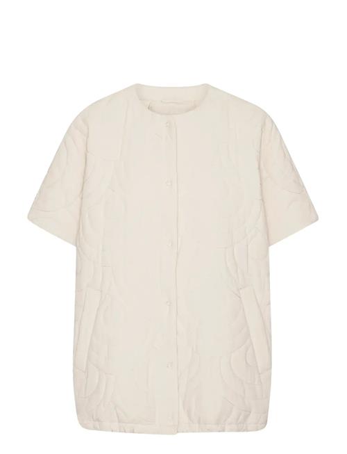 Ilse Jacobsen | Blossom02 | ML