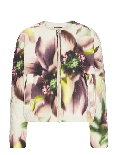 Ilse Jacobsen | Honeycombe01P | 40