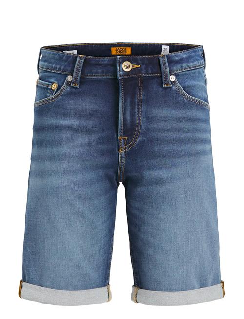 Jack & Jones | Jjirick Jjicon Shorts Ge 132 I.k Sn Mni | 104