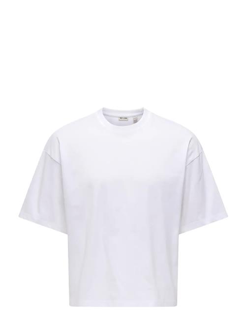 ONLY & SONS | Onsfred Rlx Ss Crop Tee | XL