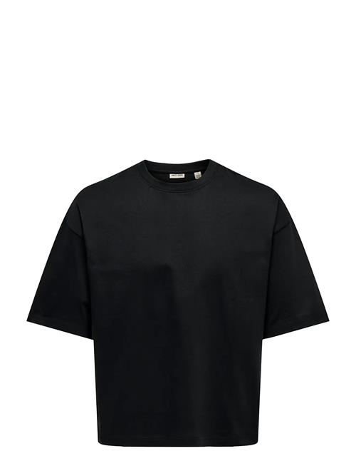 ONLY & SONS | Onsfred Rlx Ss Crop Tee | XL