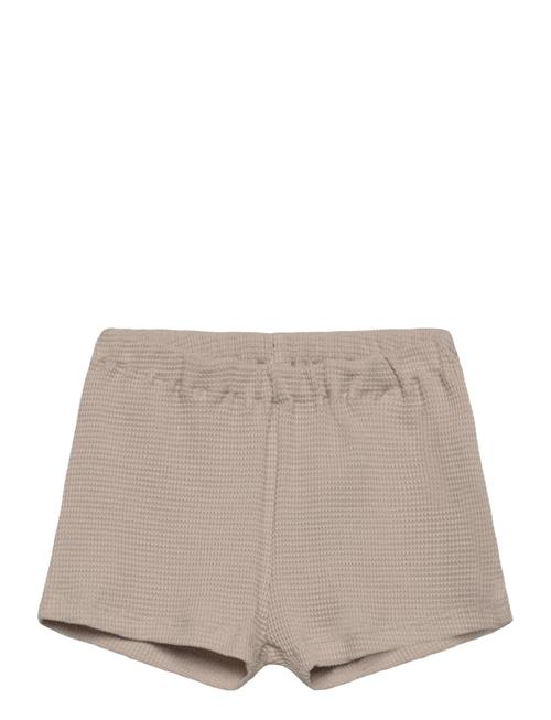 name it | Nbmhusk Shorts | 62