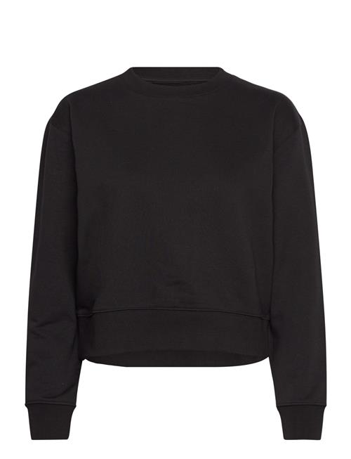 Organic Basics | Weekend Crop Crewneck | L