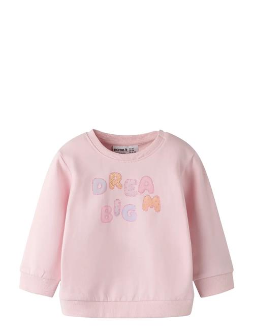 name it | Nbfdelia Ls Swe Bru | 68