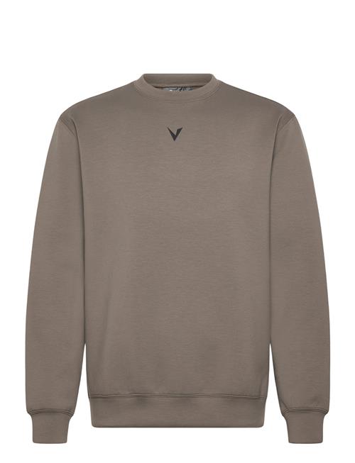 Virtus | Taro M Crew Neck | L