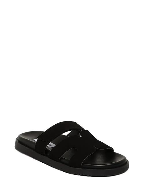 Steve Madden | Missile-E | 42