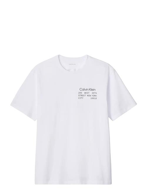 Calvin Klein Jeans | Ss 30S Whsl Ckj Ck Box Graphic T | M