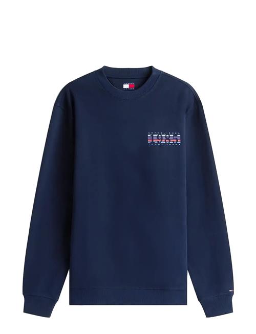 Tommy Jeans | Tjm Reg Entry Dna Play Crew Ext | L