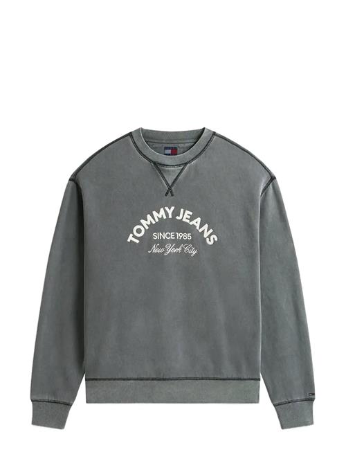Tommy Jeans | Tjm Reg Gmd Applique Crew | S