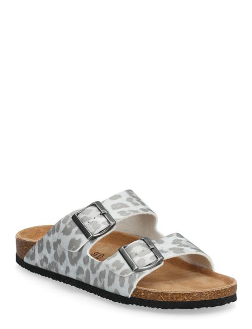 Exani | Spectra Leo W | 38