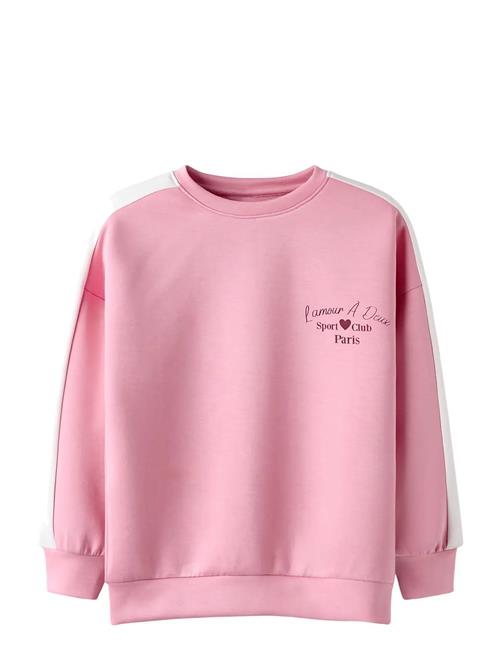 name it | Nkfneha Ls Nreg Swe Lnoos | 146-152