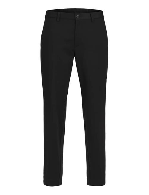 Jack & Jones | Jprjaxon Jersey Trouser Noos | 54