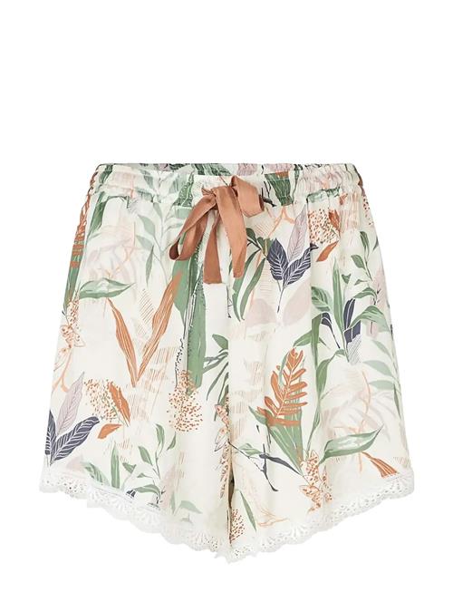 CCDK Copenhagen | Kaitlyn Shorts | XXL