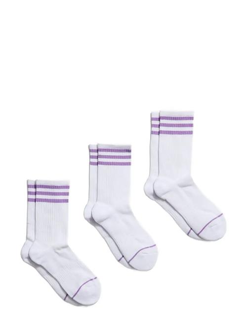 Girlfriend Collective | Crew Sock, Striped | ONE SIZE
