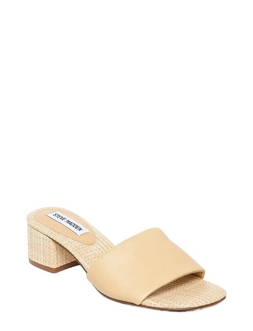 Steve Madden | Blanche | 41