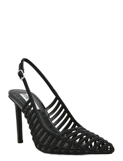Steve Madden | Carleigh | 39