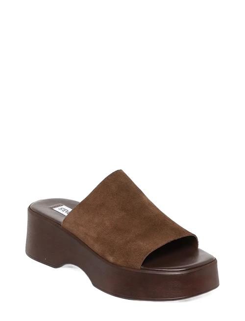 Steve Madden | Slinky30 | 38