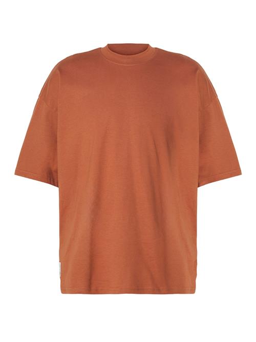 ALPHA INDUSTRIES Bluser & t-shirts  kastaniebrun / sort