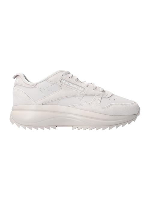 Reebok Sneaker low  creme